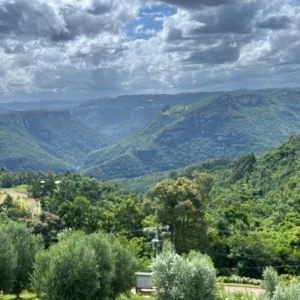 WhatsApp Image 2024-05-14 at 13.52.21